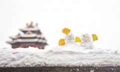 北京45年來同期最冷天氣伴雪而至（組圖）-榮軒